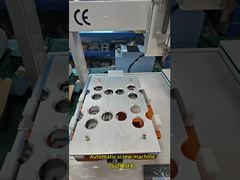 Accurate Double Working Station Automatic Soldering Machine for PCB Board Soldering